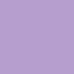 Violet Tulip